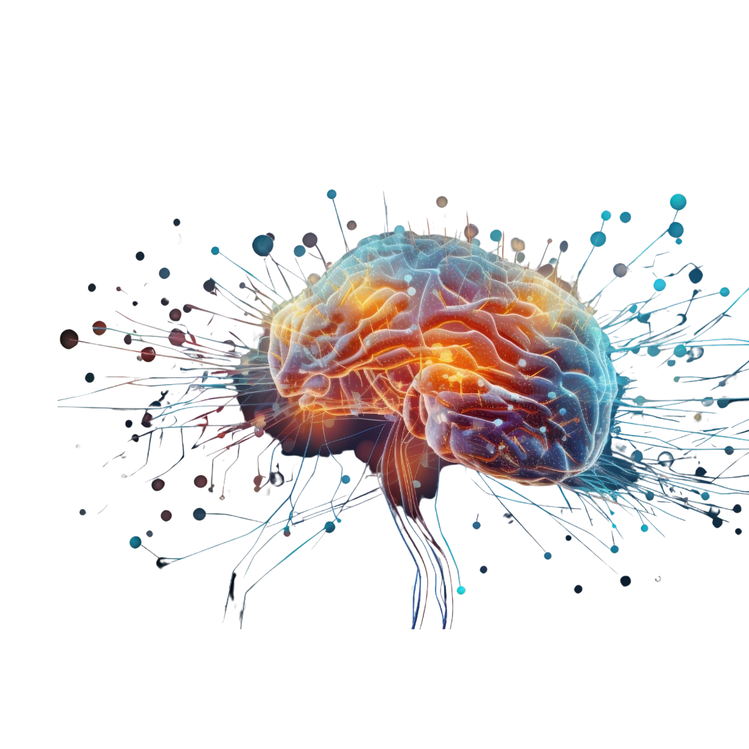 Neuro Rehabilitation